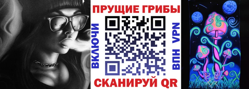 Псилоцибиновые грибы мицелий даркнет сайт блэк спрут как зайти Корсаков