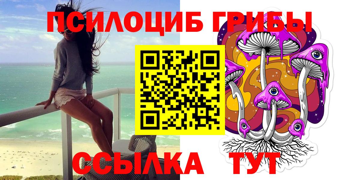 купить наркотики цена  Вход с VPN  Корсаков  Псилоцибиновые грибы Psilocybine cubensis 